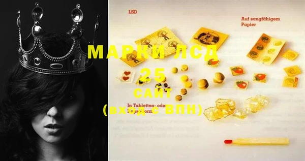 прущие грибы Иноземцево