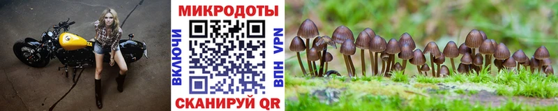Галлюциногенные грибы Magic Shrooms  Купить  Оха 